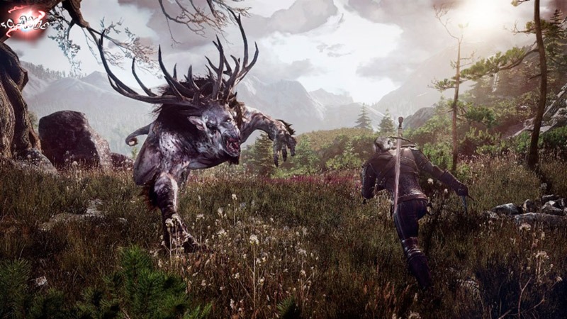 Пейзаж Севера в The Witcher 3 Wild Hunt