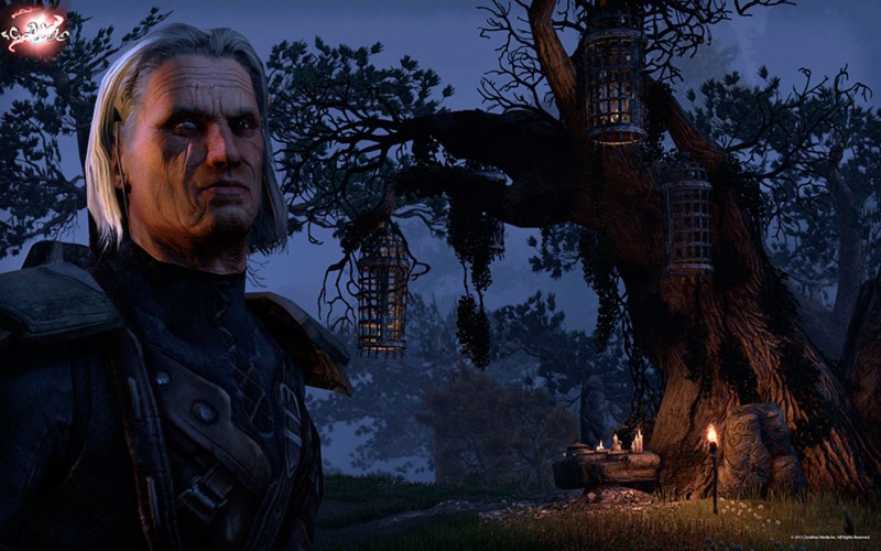 MMORPG The Elder Scrolls Online — групповой контент