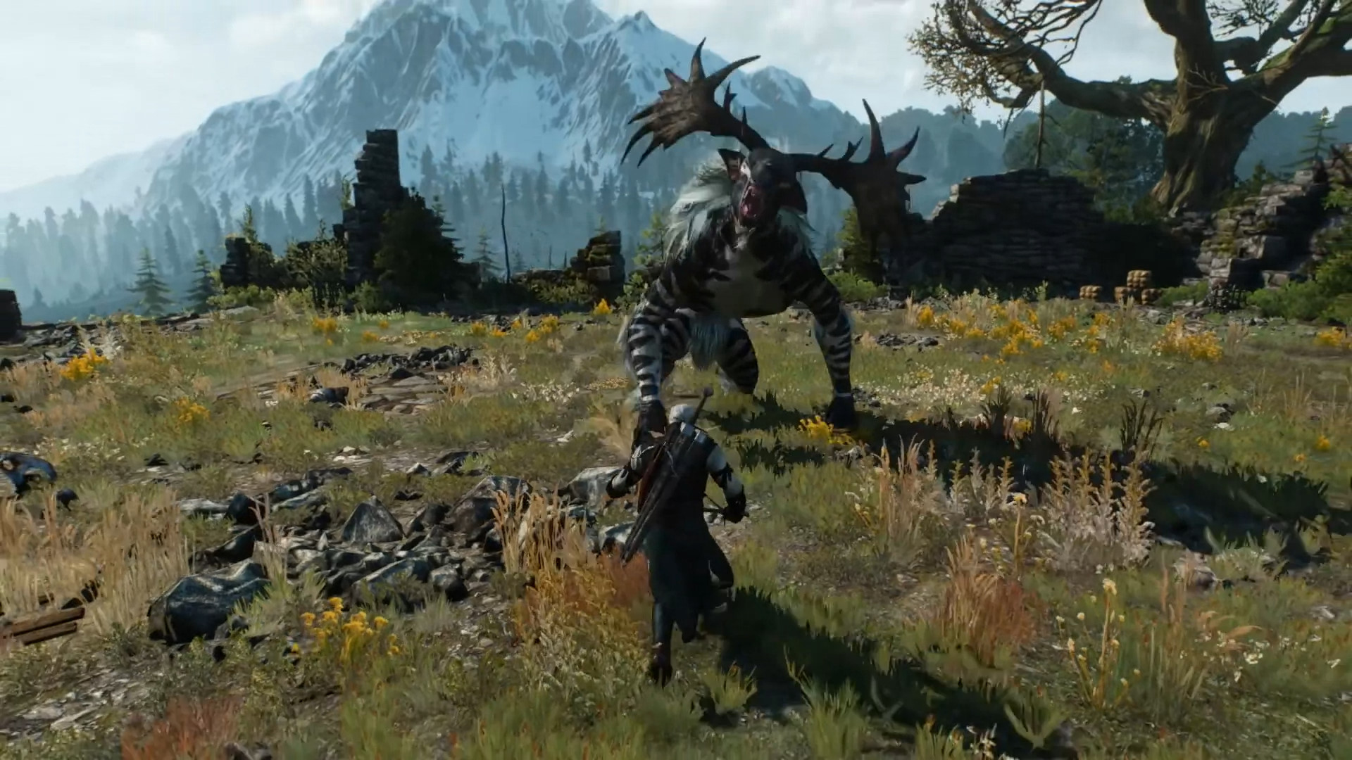 Бой с Morvudd в The Witcher 3 Wild Hunt